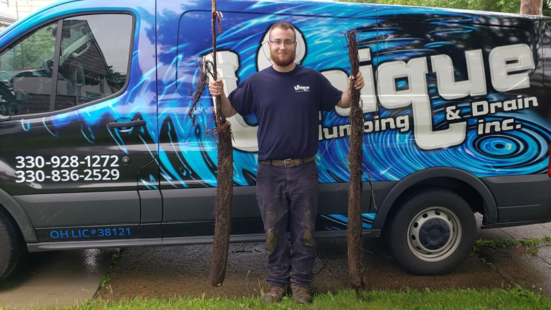 Plumber Holding Tree Roots That Have Just Been Removed From a Clogged Drain In Akron Ohio